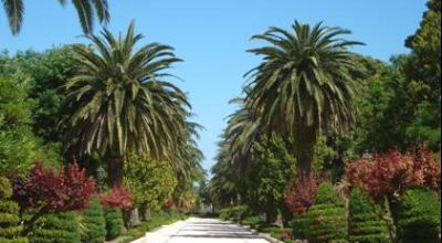 villacomunalepalazzolo